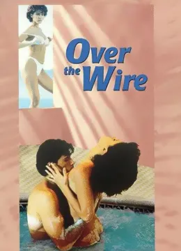 《窃情谋欲》：人性幽暗的迷宫，欲望与背叛的惊悚奏鸣曲！